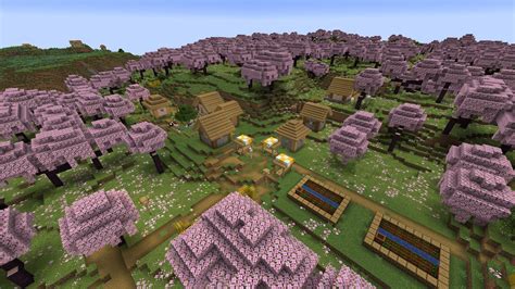 cherry blossom minecraft seed|cherry blossom village seed.